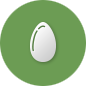 Поверхность скорлупы пищевых яиц - фото